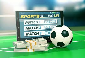 Everything You Need to Know About 1xBet Betting