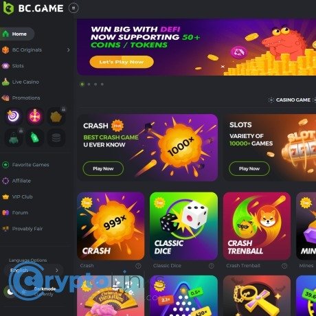 BC.Game Argentina Casino Elevating the Online Gaming Experience