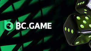Exploring BC.Game Crypto Casino in Pakistan A Gaming Revolution
