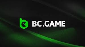 Maximize Your Wins A Comprehensive Guide to BC.Game Bonuses and Promo Codes