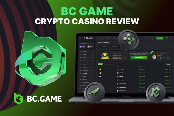 A Comprehensive Guide to the BC.Game Login Process